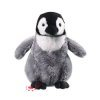 プラッシュ ハイト ホテル ギフト サメ 